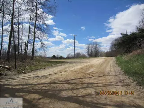 11100 Brown, Springport, MI 49284 photo 12