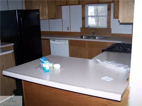 232 Dutton, Eaton Rapids, MI 48827 photo 3