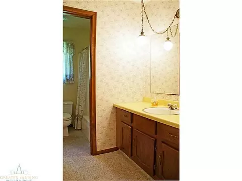 2610 Pine Tree Rd, Holt, MI 48842 photo 17