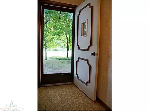 2610 Pine Tree Rd, Holt, MI 48842 photo 4