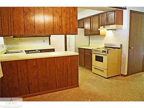 2610 Pine Tree Rd, Holt, MI 48842 photo 13