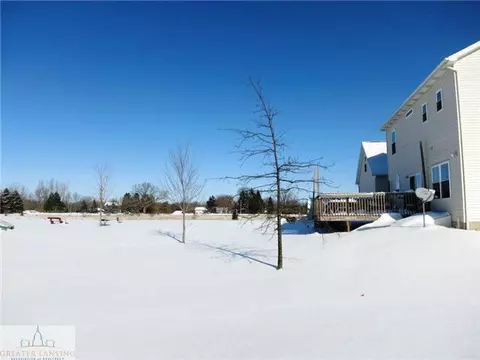 11320 Dunmaglas Dr, Bath, MI 48808 photo 18