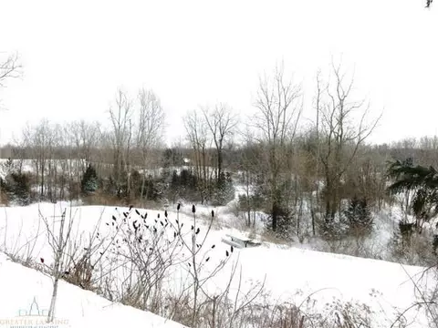 12927 Airport Rd, Dewitt, MI 48820 photo 22