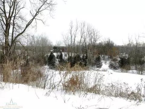 12927 Airport Rd, Dewitt, MI 48820 photo 19