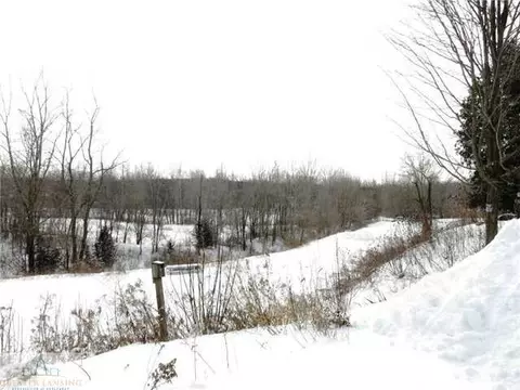 12927 Airport Rd, Dewitt, MI 48820 photo 20