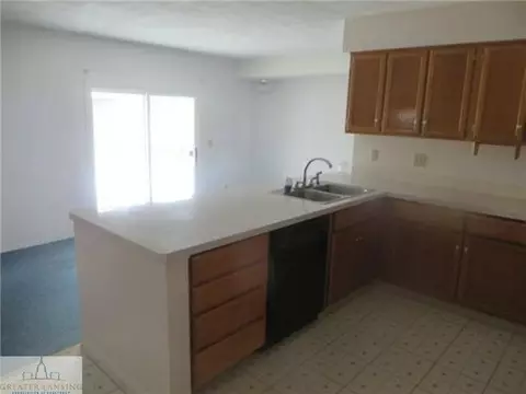 4158 Rivershell Ln, Lansing, MI 48911 photo 3