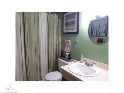 5962 Eagles Way, Haslett, MI 48840 photo 20