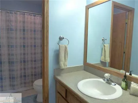 11363 Dewitt, Dewitt, MI 48820 photo 21