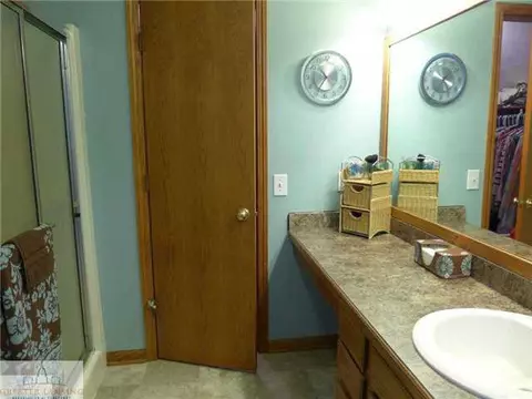 11363 Dewitt, Dewitt, MI 48820 photo 19