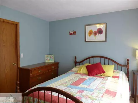 11363 Dewitt, Dewitt, MI 48820 photo 22