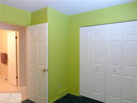 3856 Tumbleweed, Dewitt, MI 48820 photo 14
