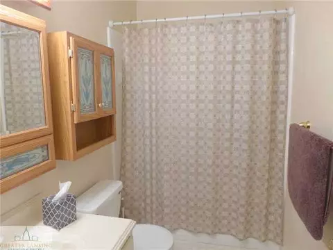 3856 Tumbleweed, Dewitt, MI 48820 photo 12
