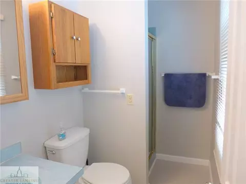 3856 Tumbleweed, Dewitt, MI 48820 photo 17