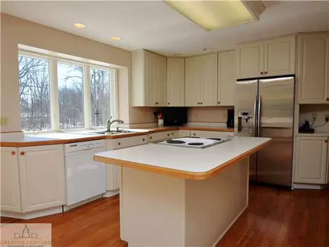1234 Wild Cherry Dr, Williamston, MI 48895 photo 9