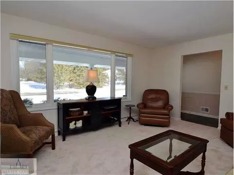 1234 Wild Cherry Dr, Williamston, MI 48895 photo 5