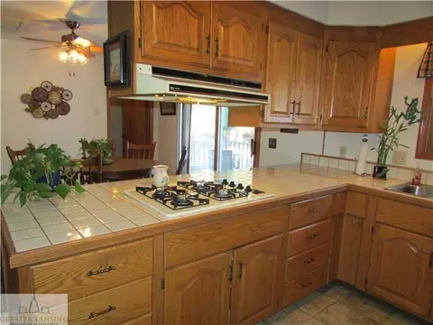 14065 Turner, Dewitt, MI 48820 photo 12