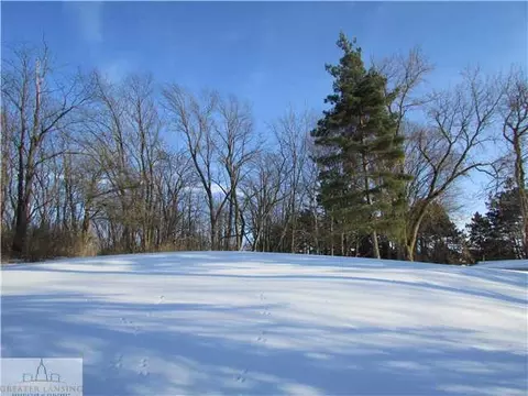 14065 Turner, Dewitt, MI 48820 photo 5