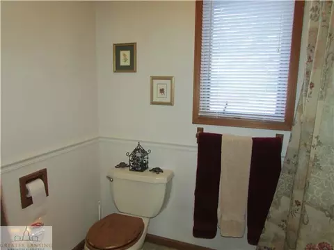 14065 Turner, Dewitt, MI 48820 photo 19