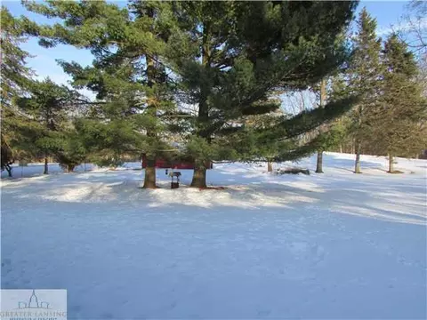14065 Turner, Dewitt, MI 48820 photo 4