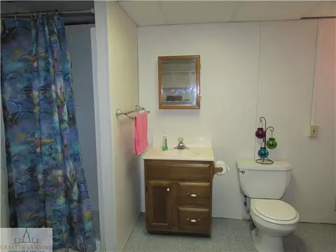 14065 Turner, Dewitt, MI 48820 photo 24