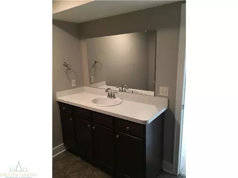 3637 Winborn Dr, Dewitt, MI 48820 photo 13