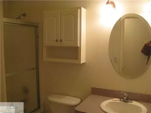 8869 Jacaranda Dr, Dimondale, MI 48821 photo 5