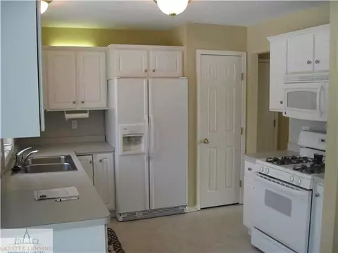 8869 Jacaranda Dr, Dimondale, MI 48821 photo 7