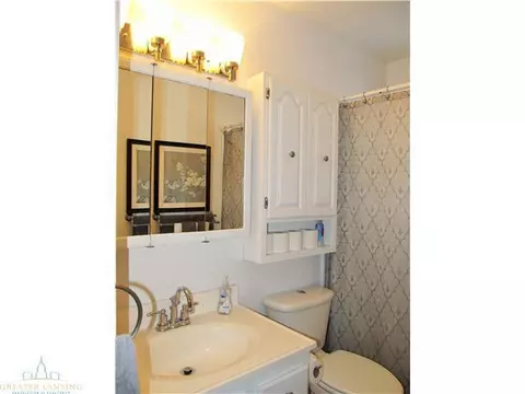 806 Elmwood, Dewitt, MI 48820 photo 11