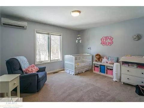 3651 Beech Tree Ln, Okemos, MI 48864 photo 16