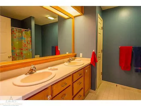 3651 Beech Tree Ln, Okemos, MI 48864 photo 18