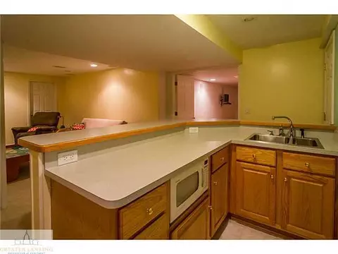 3651 Beech Tree Ln, Okemos, MI 48864 photo 22