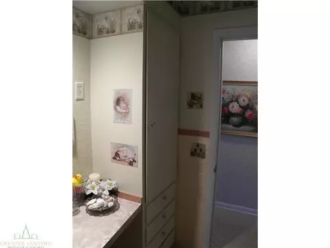 913 E Scott, Grand Ledge, MI 48837 photo 16