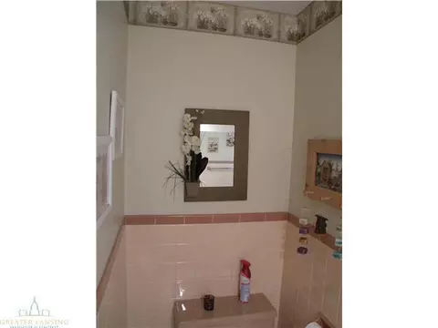 913 E Scott, Grand Ledge, MI 48837 photo 15