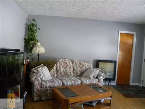 913 E Scott, Grand Ledge, MI 48837 photo 5
