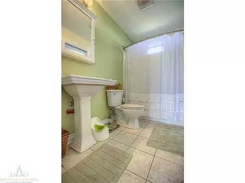 6389 Macadam, Dimondale, MI 48821 photo 8