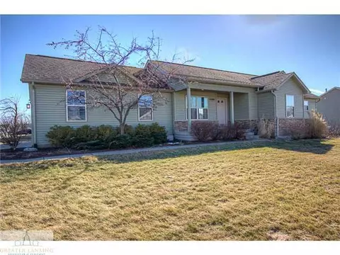 6389 Macadam, Dimondale, MI 48821 photo 1