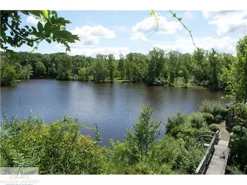 9502 Walnut, Dimondale, MI 48821 photo 23