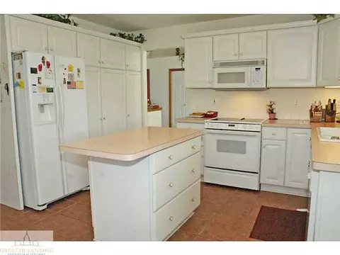 9502 Walnut, Dimondale, MI 48821 photo 8