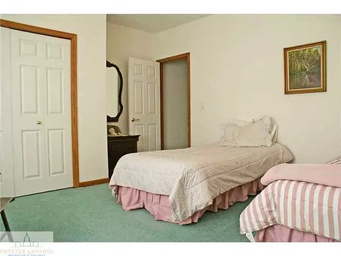 9502 Walnut, Dimondale, MI 48821 photo 20