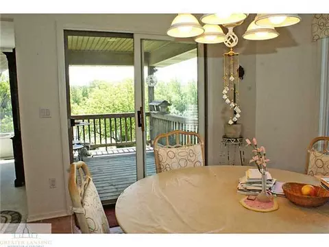 9502 Walnut, Dimondale, MI 48821 photo 12