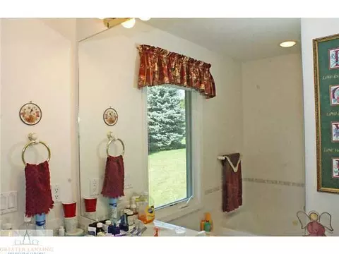 9502 Walnut, Dimondale, MI 48821 photo 14