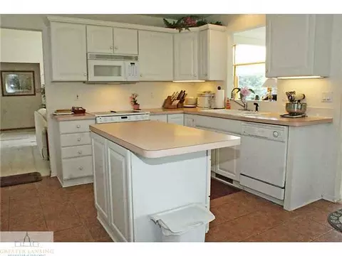 9502 Walnut, Dimondale, MI 48821 photo 7