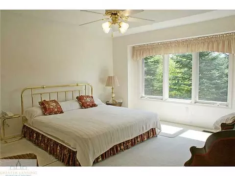 9502 Walnut, Dimondale, MI 48821 photo 13