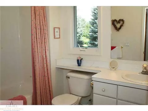 9502 Walnut, Dimondale, MI 48821 photo 21