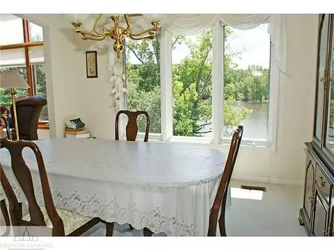 9502 Walnut, Dimondale, MI 48821 photo 11