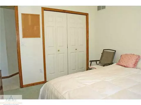 9502 Walnut, Dimondale, MI 48821 photo 16