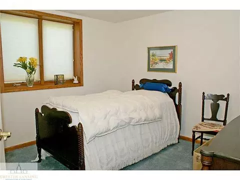 9502 Walnut, Dimondale, MI 48821 photo 17