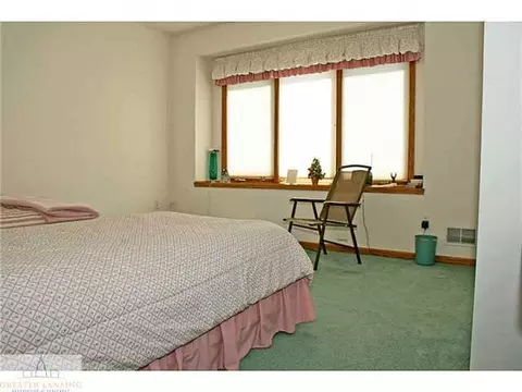 9502 Walnut, Dimondale, MI 48821 photo 19