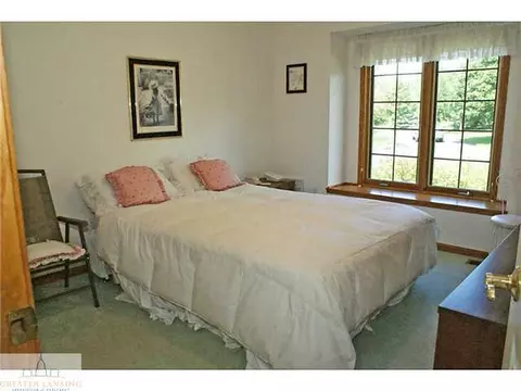 9502 Walnut, Dimondale, MI 48821 photo 15