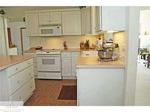 9502 Walnut, Dimondale, MI 48821 photo 9